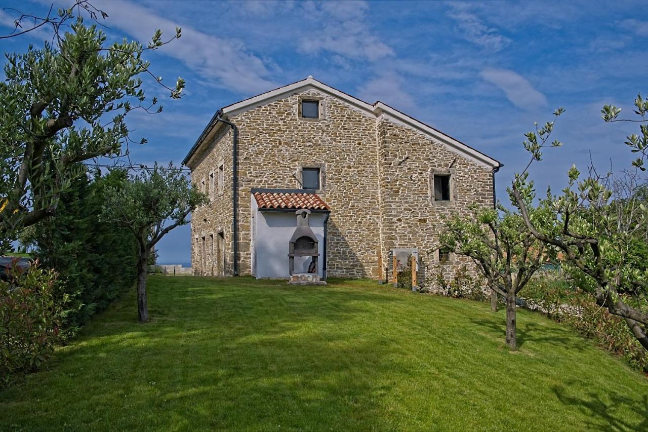 Villa Carica Krasica  Exterior photo